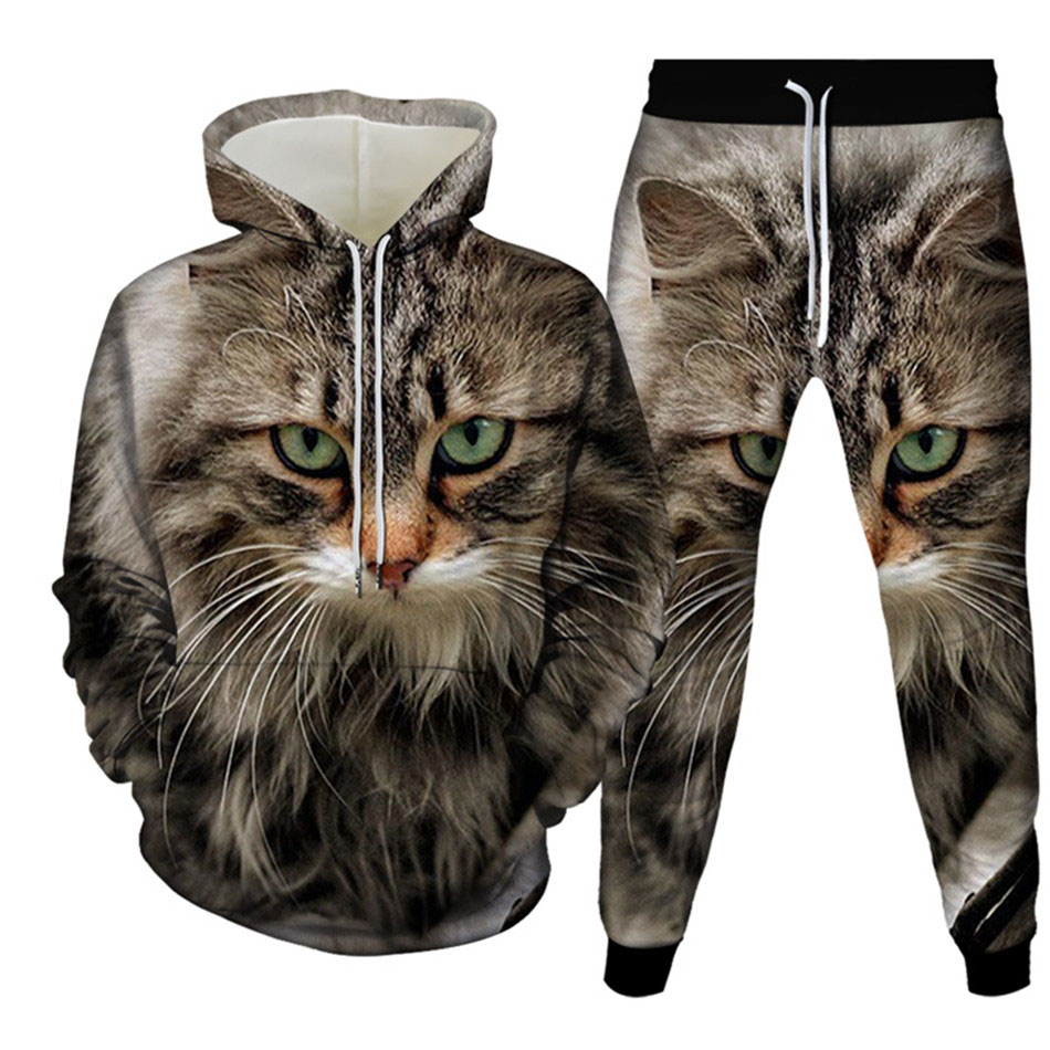 Jesienny Zabawny Zwierzęcy Kot – Men'S Fashion Hoodies recenzja i cena